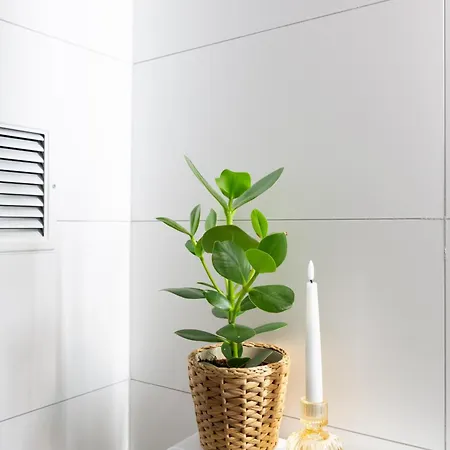 Apartamento Tourbillon Sion