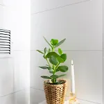 Apartment Tourbillon Sion