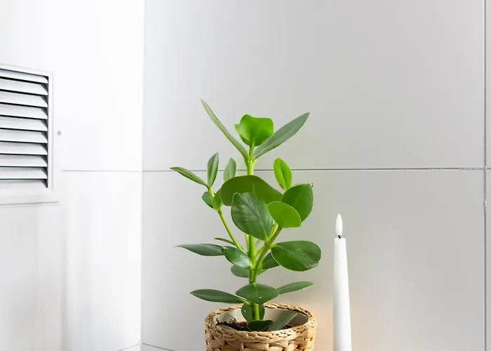 Lägenhet Tourbillon Sion